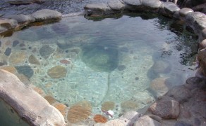 Rare Find Natural Hot Springs Resort Property!
